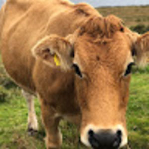 Meet your Posher, Lara